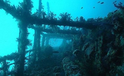 Red Sea Wrecks