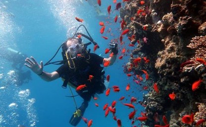 Red Sea Diving