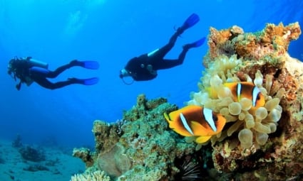 4-days-diving-(8-dives)