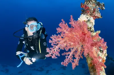 5 days diving (10 Dives)