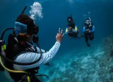 Best spots to see turtles in Hurghada