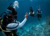Best spots to see turtles in Hurghada
