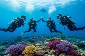 Group diving discounts in Hurghada